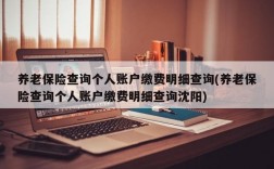 养老保险查询个人账户缴费明细查询(养老保险查询个人账户缴费明细查询沈阳)