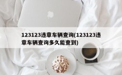 123123违章车辆查询(123123违章车辆查询多久能查到)