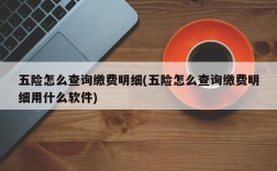 五险怎么查询缴费明细(五险怎么查询缴费明细用什么软件)