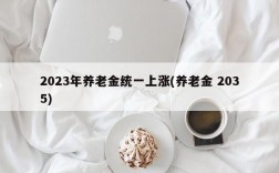 2023年养老金统一上涨(养老金 2035)