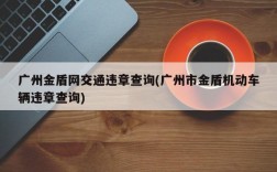 广州金盾网交通违章查询(广州市金盾机动车辆违章查询)