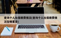 查询个人社保缴费情况(查询个人社保缴费情况在哪里查)