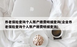 养老保险查询个人账户缴费明细查询(企业养老保险查询个人账户缴费明细查询)