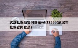 武汉社保局官网登录wh12333(武汉市社保官网登录)