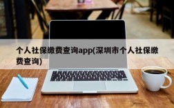 个人社保缴费查询app(深圳市个人社保缴费查询)