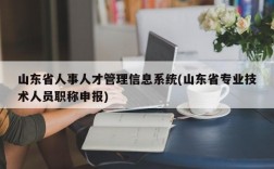 山东省人事人才管理信息系统(山东省专业技术人员职称申报)