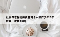 社会养老保险缴费查询个人账户(2023年恢复一次性补缴)