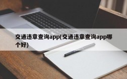 交通违章查询app(交通违章查询app哪个好)