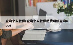 查询个人社保(查询个人社保缴费明细查询app)