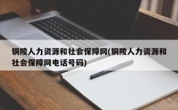 铜陵人力资源和社会保障网(铜陵人力资源和社会保障网电话号码)