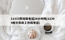 12333劳动局电话24小时吗(12309拖欠农民工热线电话)