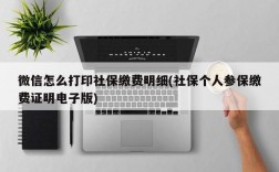 微信怎么打印社保缴费明细(社保个人参保缴费证明电子版)