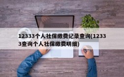 12333个人社保缴费记录查询(12333查询个人社保缴费明细)