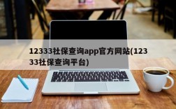 12333社保查询app官方网站(12333社保查询平台)