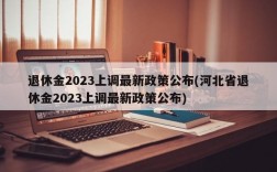 退休金2023上调最新政策公布(河北省退休金2023上调最新政策公布)