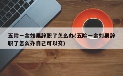 五险一金如果辞职了怎么办(五险一金如果辞职了怎么办自己可以交)