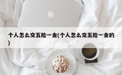 个人怎么交五险一金(个人怎么交五险一金的)