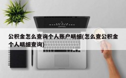 公积金怎么查询个人账户明细(怎么查公积金个人明细查询)