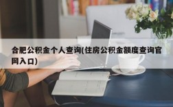 合肥公积金个人查询(住房公积金额度查询官网入口)