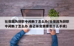 社保因为辞职中间断了怎么办(社保因为辞职中间断了怎么办 自己补交需要些什么手续)