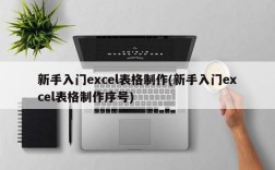 新手入门excel表格制作(新手入门excel表格制作序号)