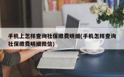 手机上怎样查询社保缴费明细(手机怎样查询社保缴费明细微信)