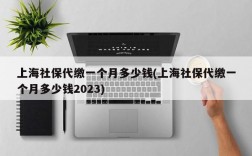 上海社保代缴一个月多少钱(上海社保代缴一个月多少钱2023)