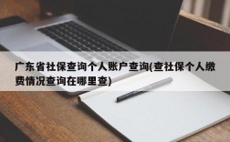 广东省社保查询个人账户查询(查社保个人缴费情况查询在哪里查)