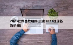 2023社保基数明细(云南2023社保基数明细)