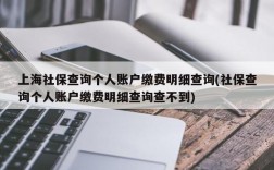 上海社保查询个人账户缴费明细查询(社保查询个人账户缴费明细查询查不到)