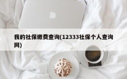 我的社保缴费查询(12333社保个人查询网)