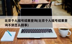 北京个人摇号结果查询(北京个人摇号结果查询不到怎么回事)