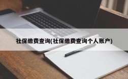 社保缴费查询(社保缴费查询个人账户)