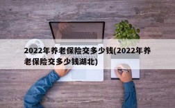 2022年养老保险交多少钱(2022年养老保险交多少钱湖北)