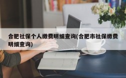 合肥社保个人缴费明细查询(合肥市社保缴费明细查询)