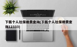 下载个人社保缴费查询(下载个人社保缴费查询12333)