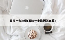 五险一金比例(五险一金比例怎么算)