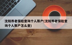 沈阳养老保险查询个人账户(沈阳养老保险查询个人账户怎么查)