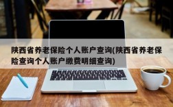 陕西省养老保险个人账户查询(陕西省养老保险查询个人账户缴费明细查询)