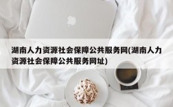 湖南人力资源社会保障公共服务网(湖南人力资源社会保障公共服务网址)