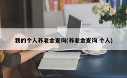 我的个人养老金查询(养老金查询 个人)