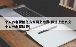 个人养老保险怎么交网上缴费(微信上怎么交个人养老保险费)