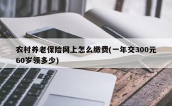 农村养老保险网上怎么缴费(一年交300元60岁领多少)