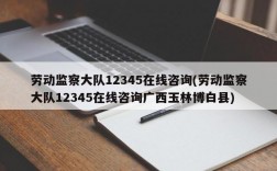 劳动监察大队12345在线咨询(劳动监察大队12345在线咨询广西玉林博白县)