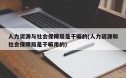 人力资源与社会保障局是干嘛的(人力资源和社会保障局是干嘛用的)