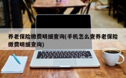 养老保险缴费明细查询(手机怎么查养老保险缴费明细查询)