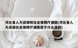 河北省人力资源和社会保障厅课题(河北省人力资源社会保障厅课题属于什么级别)