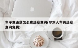 车子查违章怎么查违章查询(非本人车辆违章查询免费)