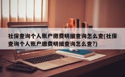 社保查询个人账户缴费明细查询怎么查(社保查询个人账户缴费明细查询怎么查?)