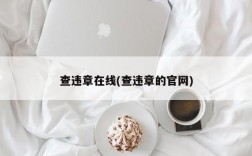 查违章在线(查违章的官网)